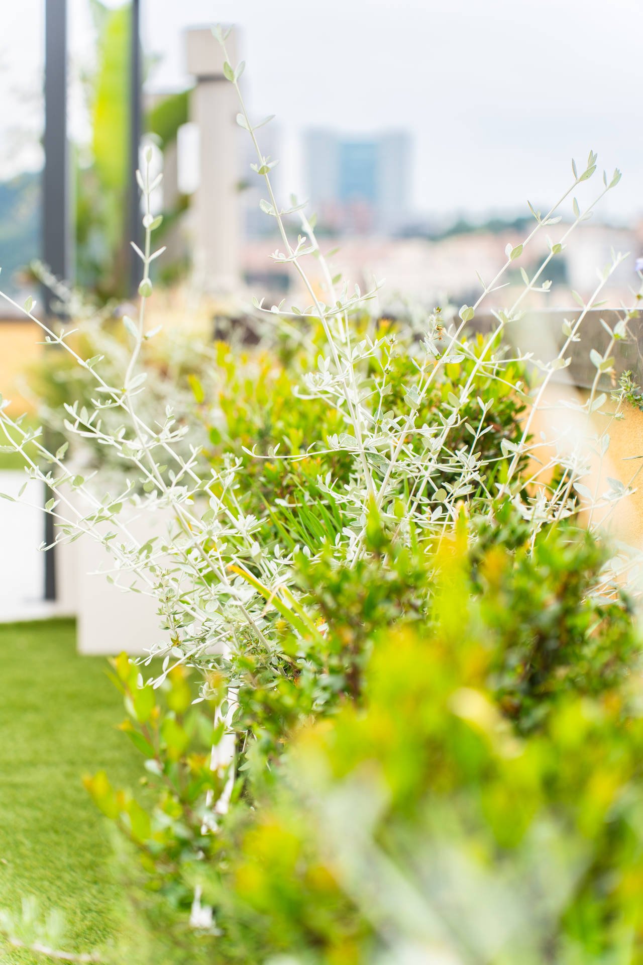 lavori balbo outdoor terrazzo sestri ponente