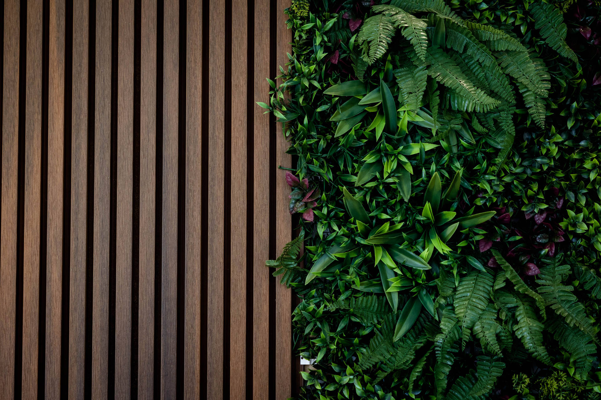 restyle terrazzo via casaregis genova balbo ourdoor