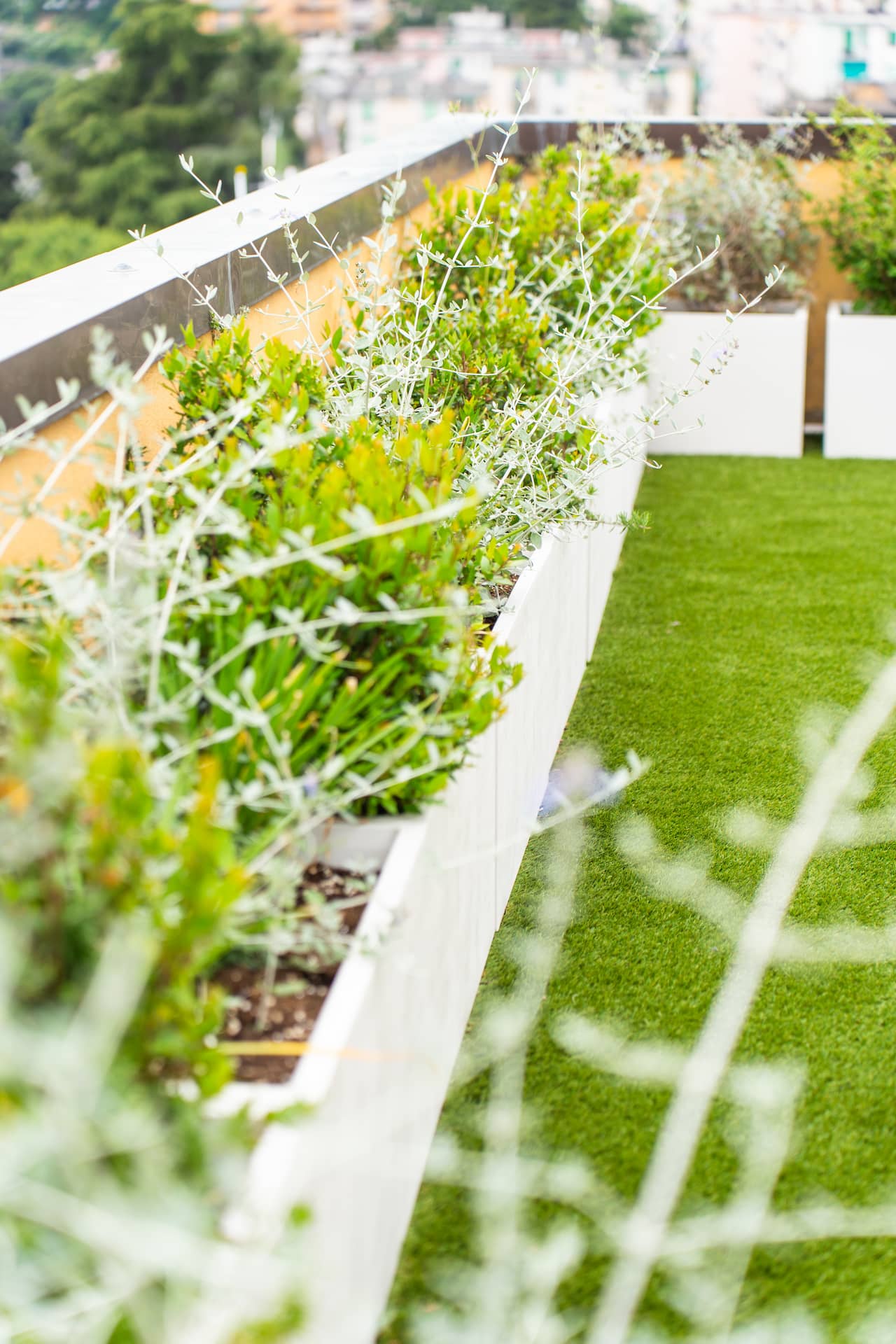 vasi e piante per arredo giardino a genova balbo outdoor