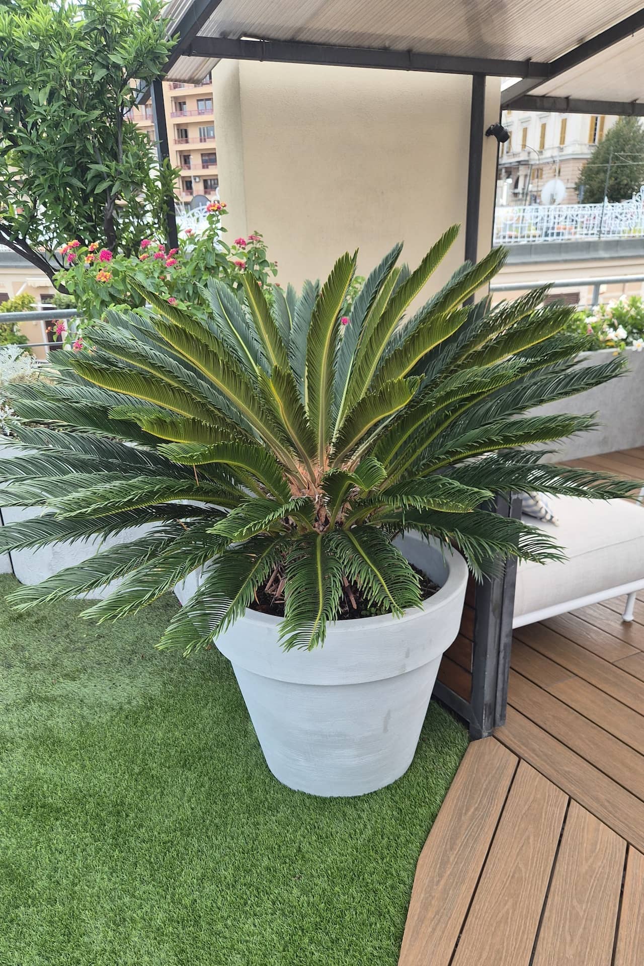 vasi e piante per arredo giardino a genova balbo outdoor