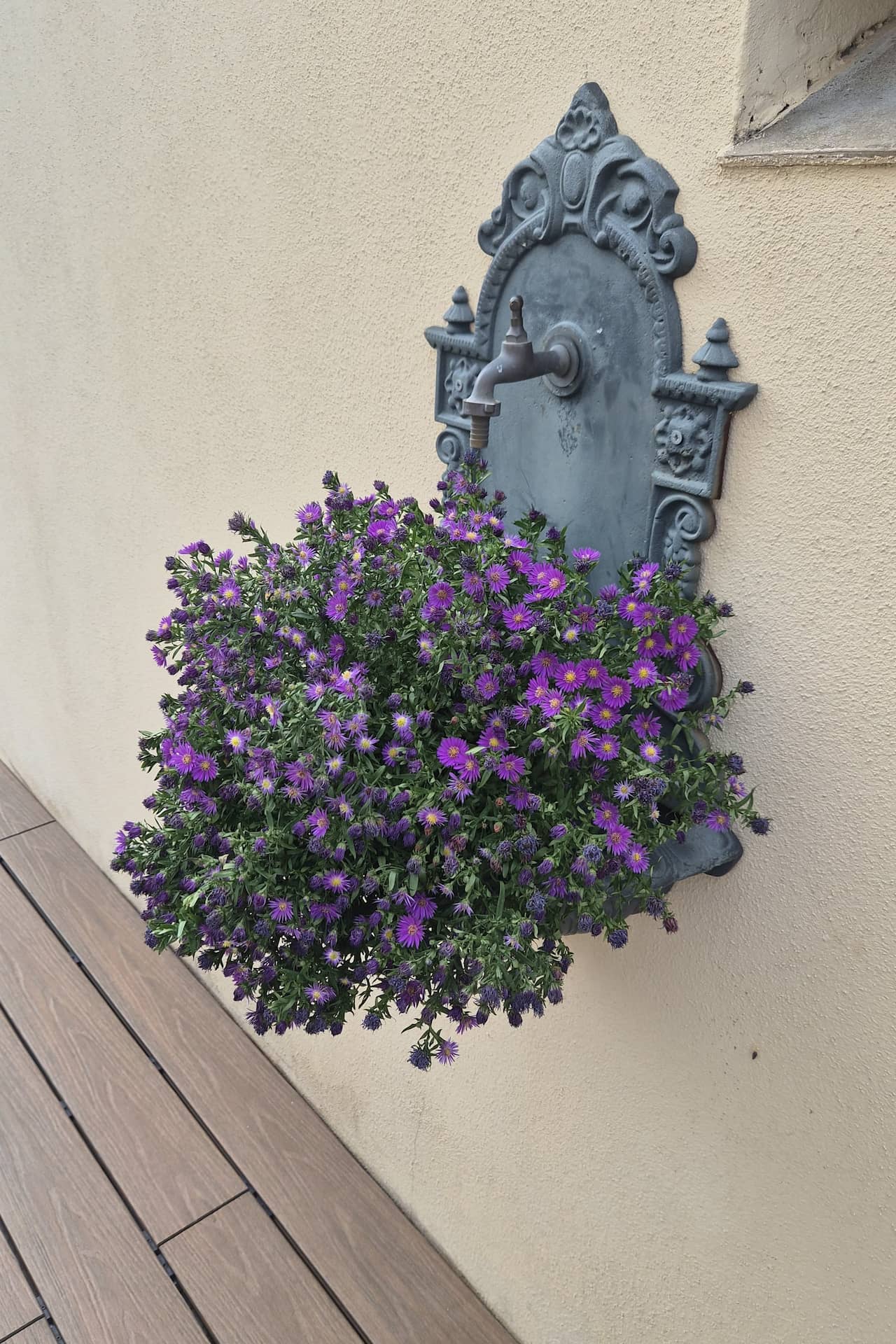 vasi e piante per arredo giardino a genova balbo outdoor